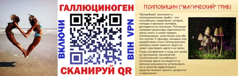 Галлюциногенные грибы прущие грибы  Лодейное Поле 